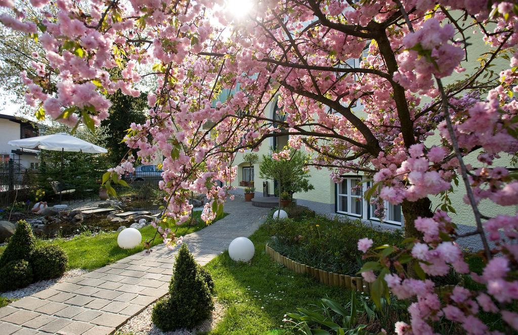 Hotel Rosenvilla Salisburgo